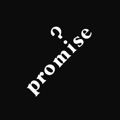 PROMISE - Promise (CD) - GOT KINDA LOST (CD) | Guerssen