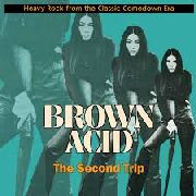 VARIOUS ARTISTS - Brown Acid: The Second Trip (Black) - RIDING EASY (LP) | Guerssen