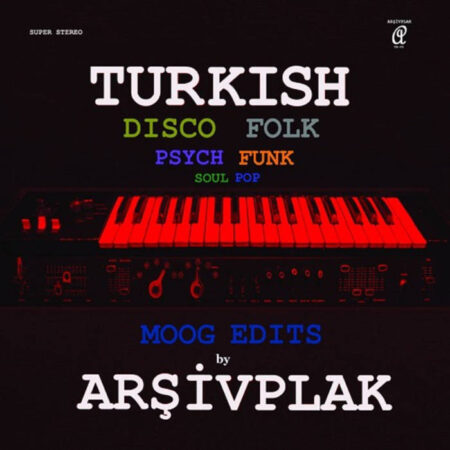 ARSIVPLAK - Moog Edits (Turkish Disco Folk) - ARSIVPLAK (LP) | Guerssen
