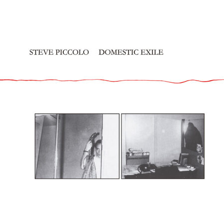 Steve - Domestic Exile - MENTAL EXPERIENCE (LP) | Guerssen