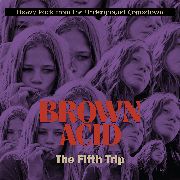 VARIOUS ARTISTS - Brown Acid: The Fifth Trip - RIDING EASY (LP) | Guerssen