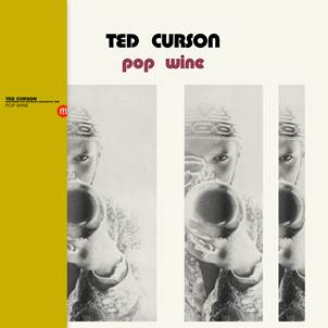 Ted - Pop Wine - SOUFFLECONTINU (LP) | Guerssen