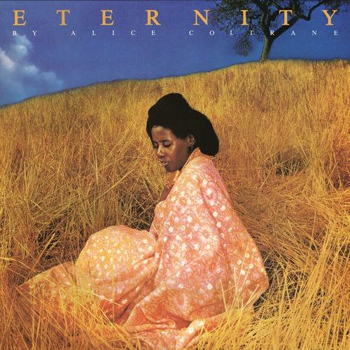 Alice - Eternity - ANTARCTICA STARTS HERE (LP) | Guerssen