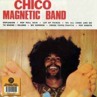 Chico Magnetic Band (Orange)