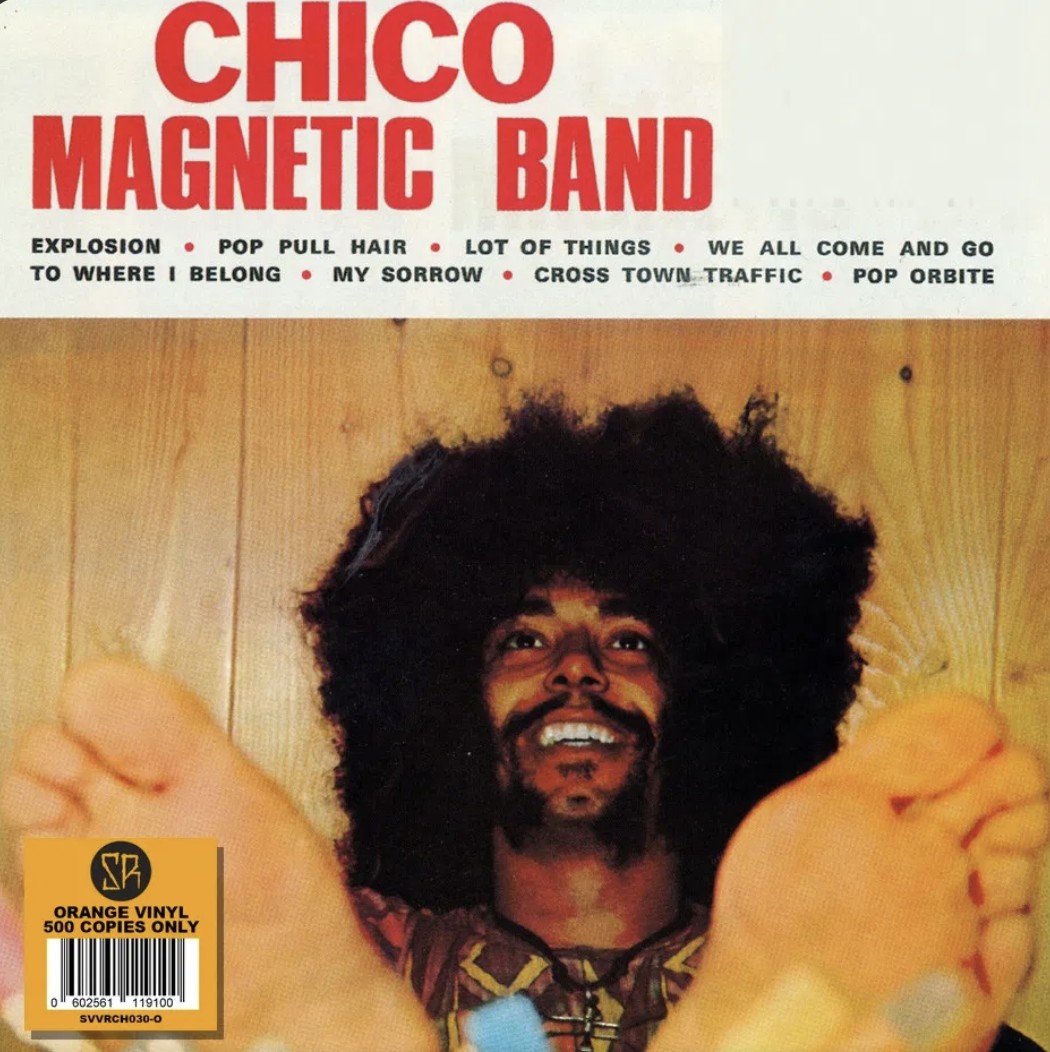 Chico Magnetic Band (Orange)